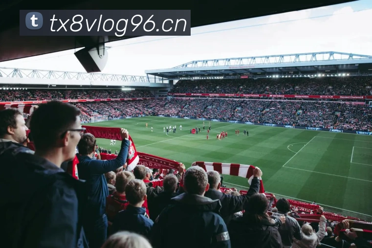 好体育投注全站App